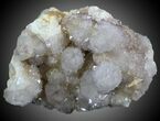 Cactus Quartz (Amethyst) Cluster - South Africa #33896-2